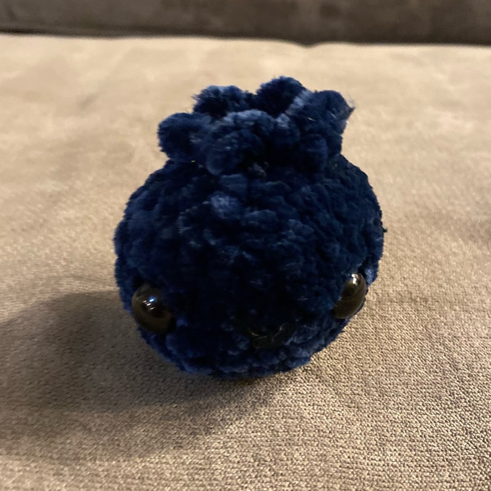 New Handmade Crochet Blueberry